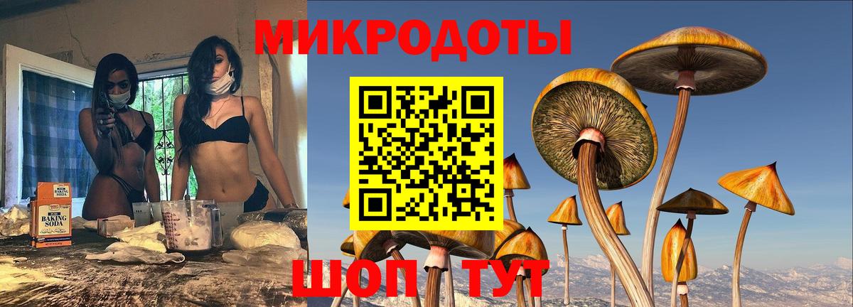 Псилоцибиновые грибы GOLDEN TEACHER  Вход с VPN  Зеленокумск 
