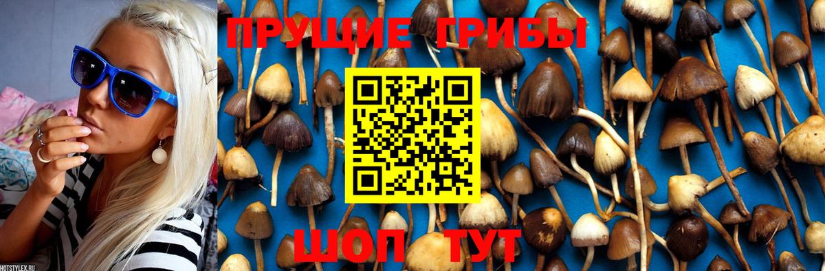 Псилоцибиновые грибы мицелий Зеленокумск